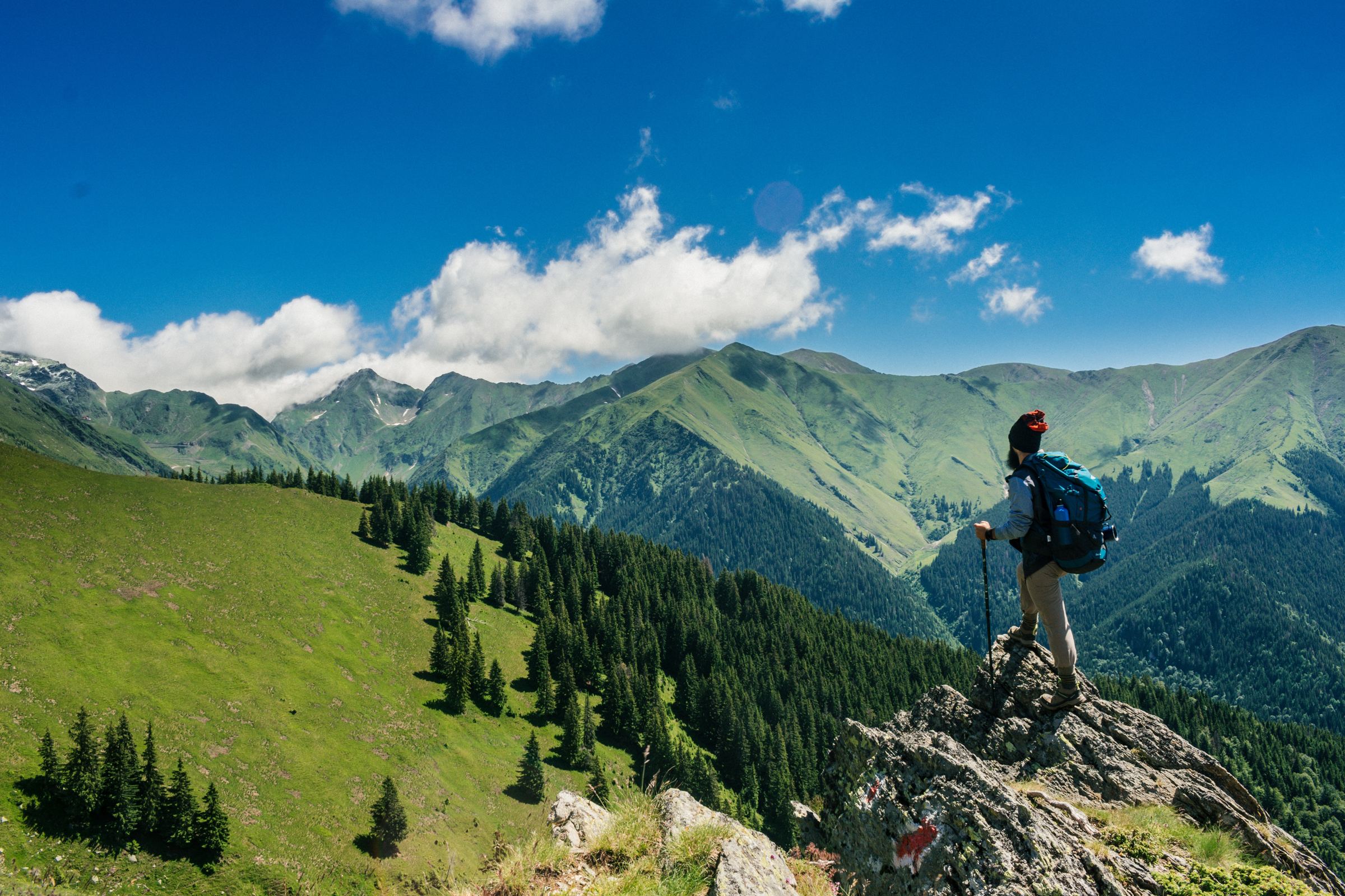 Hiker looking over green mountains