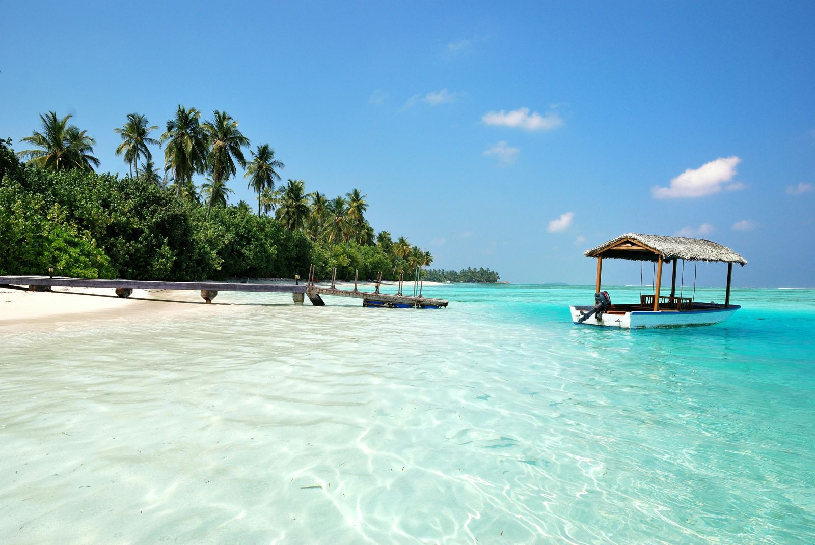 Palm-lined beach with clear turquoise water